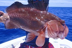 Create Listing: 6 Hr Fishing - Indian Rocks Beach