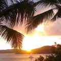 Create Listing: SUNSET Dinner Sail- 2hrs
